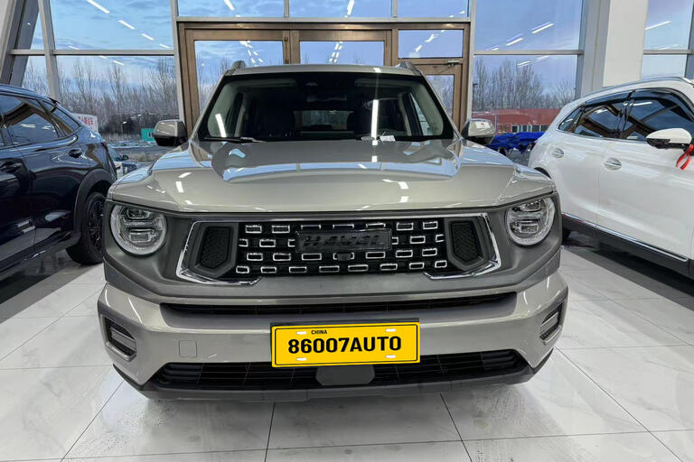 Haval Big Dog DaGou,2023,1.5