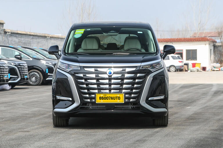 Denza D9 2024,1.5