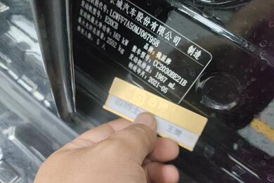 Tank 300 2021,2.0